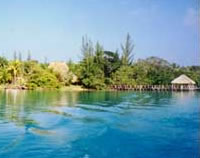 Bacalar
